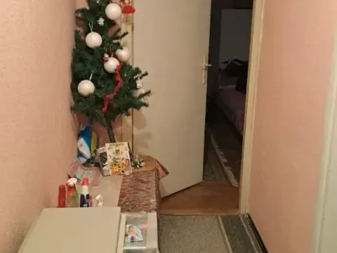 Prodaja, dvosoban stan, 56m², Sarina Medja, Jagodina - image 5