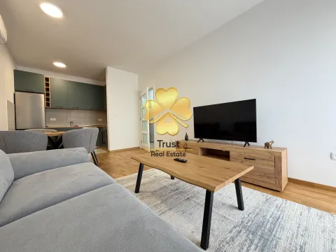 Rent, one bedroom apartment, 50m², Pobrežje, Podgorica - image 3