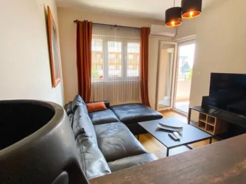 One Bedroom Apartment for Rent, 52m2, Central Point, Podgorica One Bedroom Apartment for Rent, 52m2, Central Point, Podgorica