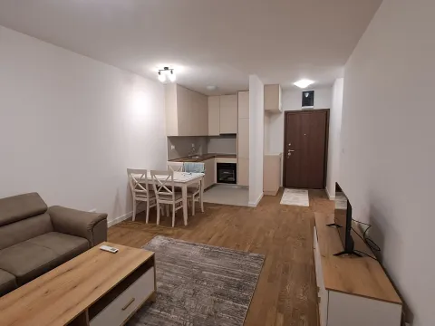 Izdavanje, jednosoban stan, 45m², Stari Aerodrom, Podgorica - image 4