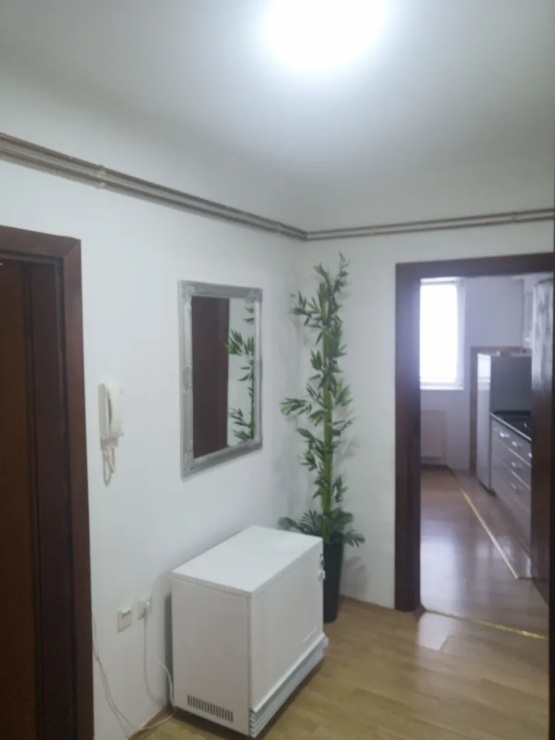Izdavanje, jednosoban stan, 37m², Centar, Jagodina