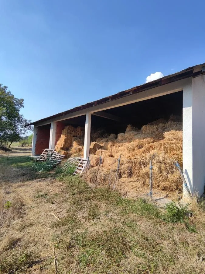 Prodaja, kuća, 96m², Kočino Selo, Jagodina