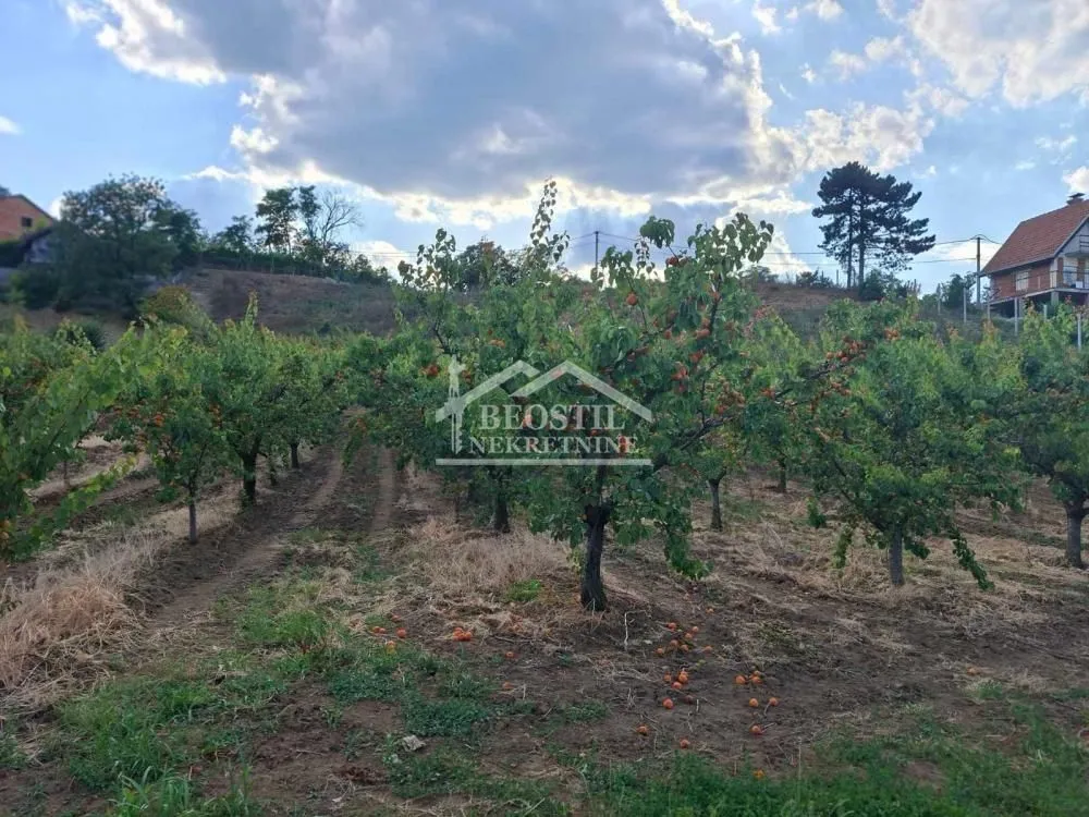 Prodaja, plac, 2900m², Grocka, Beograd