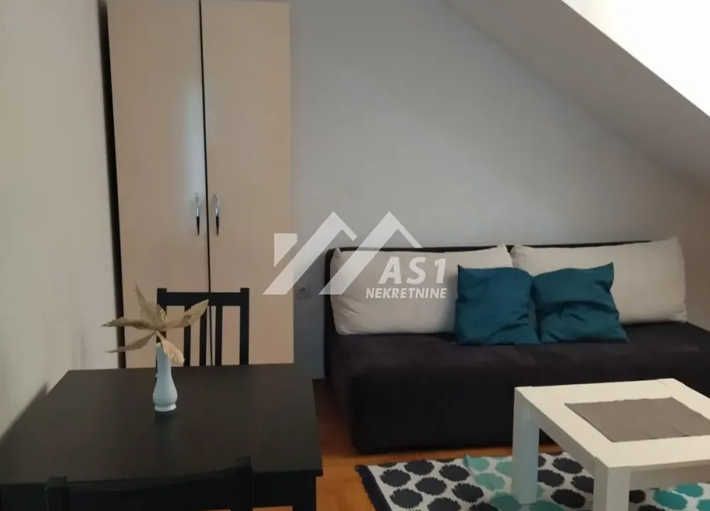 Izdavanje, jednosoban stan, 30m², Podbara, Novi Sad Sve Podlokacije