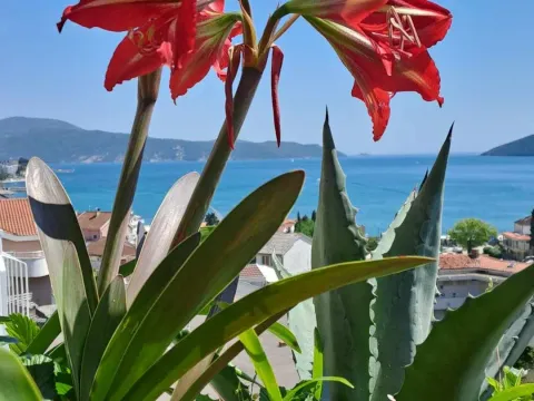 Prodaja, stan, 65m², Herceg Novi, Crna Gora - image 3