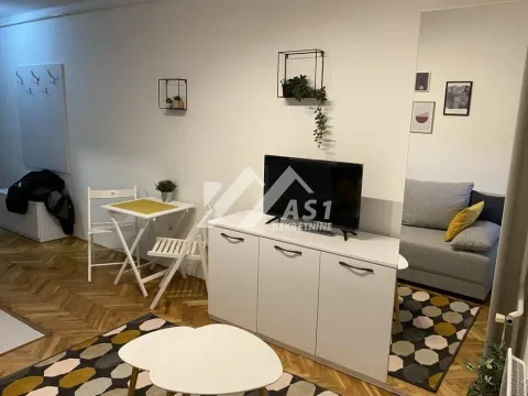 Izdavanje, stan, 25m², Bulevar Oslobodjenja, Novi Sad Sve Podlokacije - image 3
