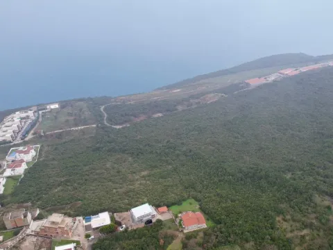 Prodaja, plac, 2500m², Krimovica, Kotor - image 13