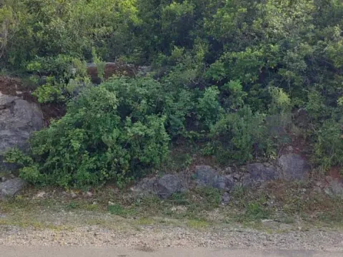 Prodaja, plac, 2300m², Tivat, Crna Gora - image 8