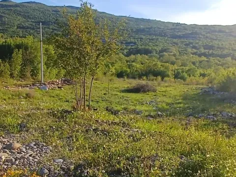 Zemljište in Komani