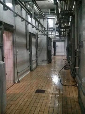 Rent, office space, 3500m², Bečmen, Surčin