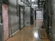 Izdavanje, poslovni prostor, 3500m², Bečmen, Surčin - image 9