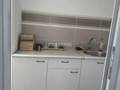 Izdavanje, poslovni prostor, 330m², Čukarica, Beograd - image 10