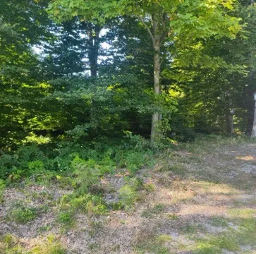 Prodaja, plac, 3000m², Goč, Vrnjačka Banja - image 3