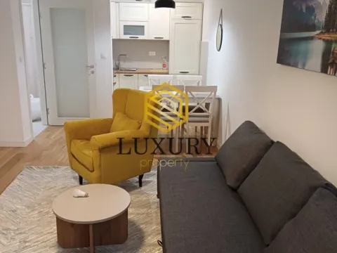 Izdavanje, jednosoban stan, 45m², Central Point, Podgorica - image 3