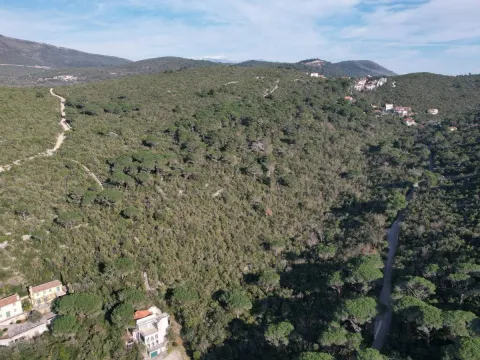 Prodaja, plac, 2152m², Luštica, Herceg Novi - image 5