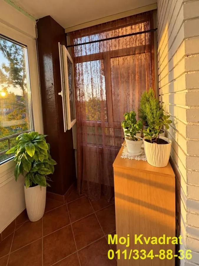 Enclosed balcony with potted plants and a chest of drawers.