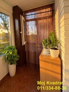 Enclosed balcony with potted plants and a chest of drawers. - image 17