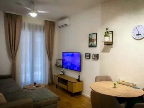 Izdavanje, jednosoban stan, 45m², Tološi, Podgorica - image 4