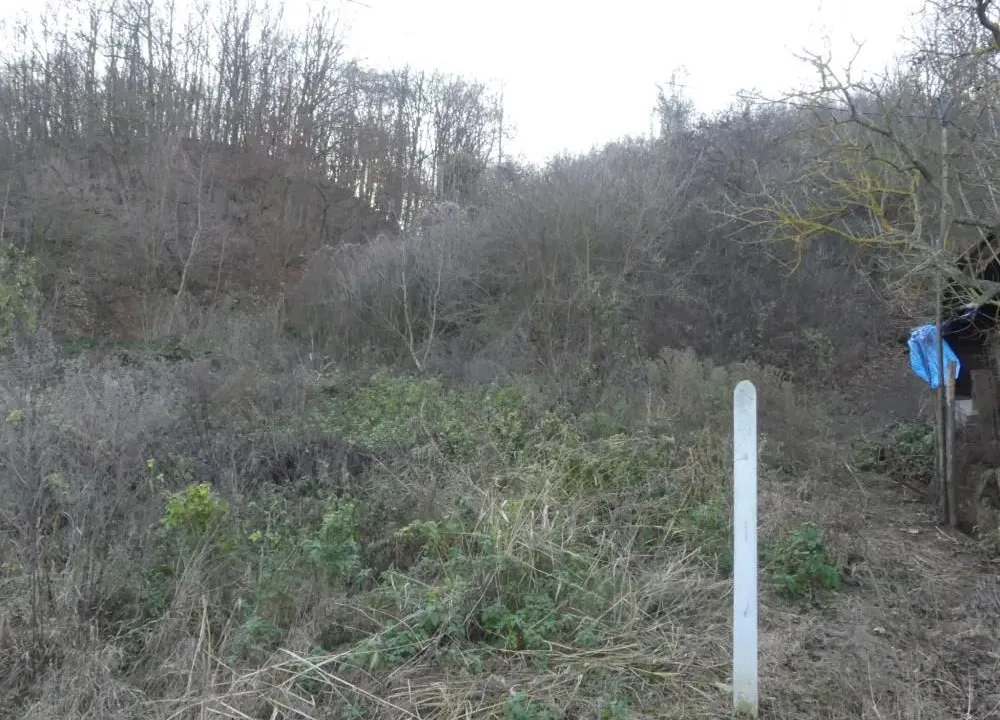 Sale, land lot, 4500m², Novo Lanište, Jagodina