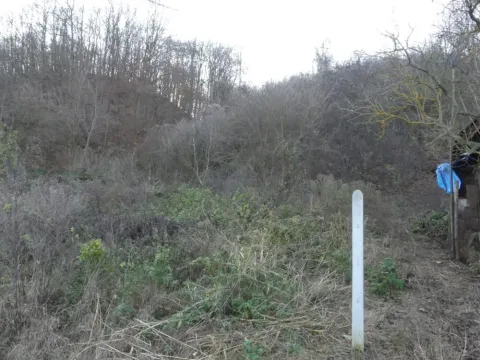 Prodaja,  zemljište, 45m2, Novo Lanište, Jagodina