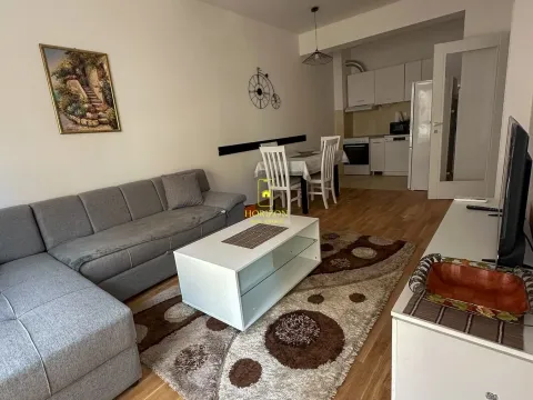 Rent, one bedroom apartment, 46m², Zabjelo, Podgorica - image 2