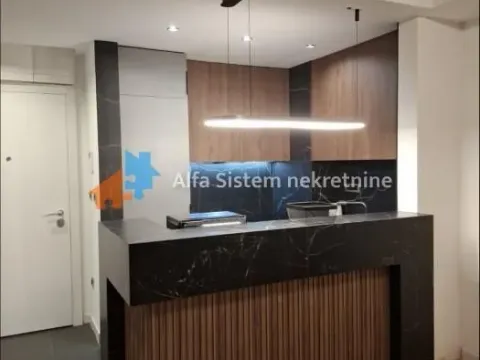 Izdavanje, dvosoban stan, 60m², Novi Beograd Blok 65, Novi Beograd Sve Podlokacije - image 6