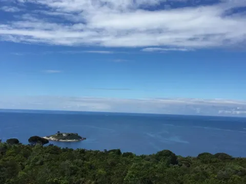 Prodaja, plac, 61033m², Rose, Herceg Novi - image 1