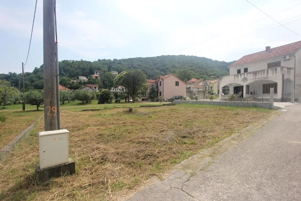 Travnati plac pored puta sa kućama u pozadini.