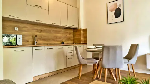 Daily-rent, one bedroom apartment, 40m², Bečići, Budva - image 3
