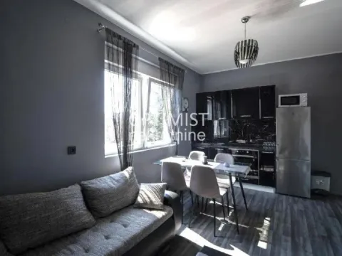 Rent, three bedroom apartment, 65m², Profesorska Kolonija, Palilula Sve Podlokacije - image 3