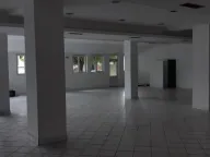 Izdavanje, poslovni prostor, 300m², Altina, Beograd - image 2