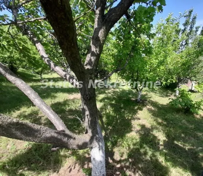 Sale, house, 30m², Beočin, Srbija