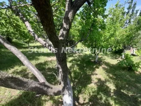 Prodaja, kuća, 30m², Beočin, Srbija - image 11