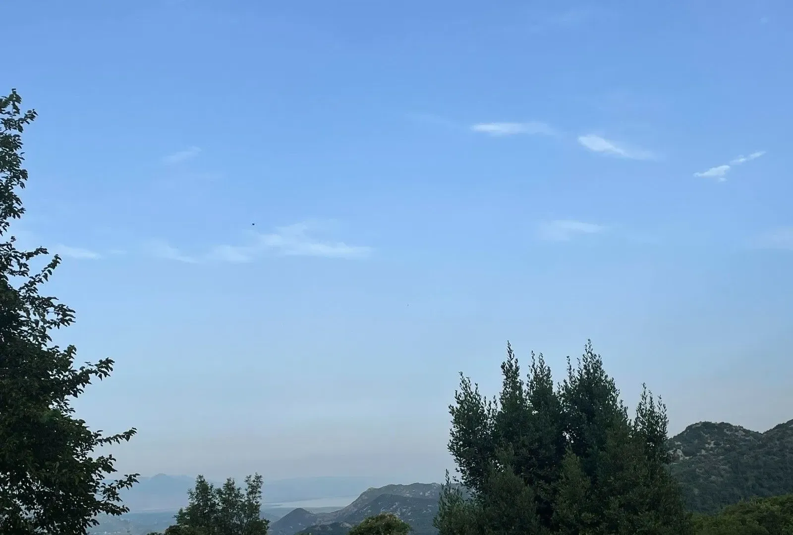 Prodaja, plac, 10001m², Dobrsko Selo, Cetinje