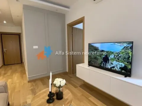 Izdavanje, dvosoban stan, 45m², Južni Bulevar, Vračar Sve Podlokacije - image 4