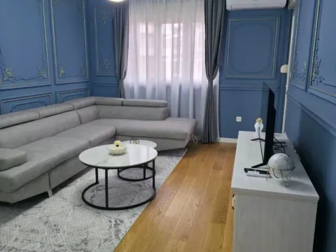 Rent, one bedroom apartment, 49m², Central Point, Podgorica - image 2