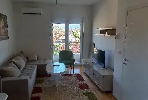 Izdavanje, jednosoban stan, 45m², Zagorič, Podgorica - image 3