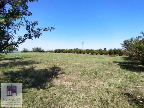 Sale, land lot, 5900m², Konatice, Obrenovac - image 7