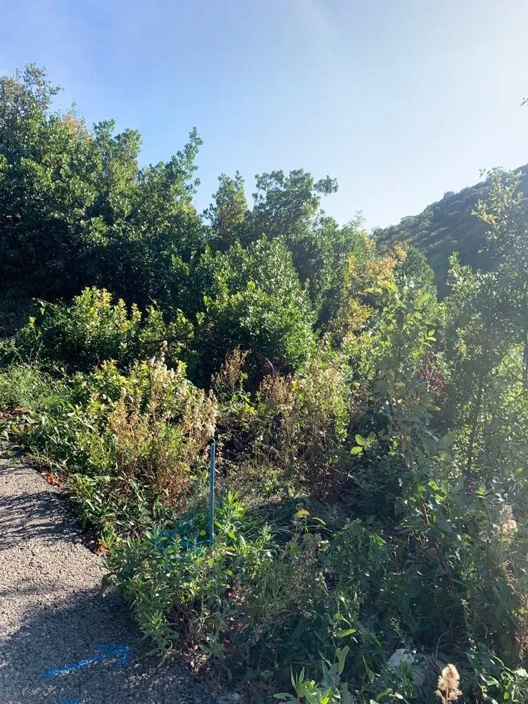 Prodaja, plac, 1594m², Utjeha, Bar