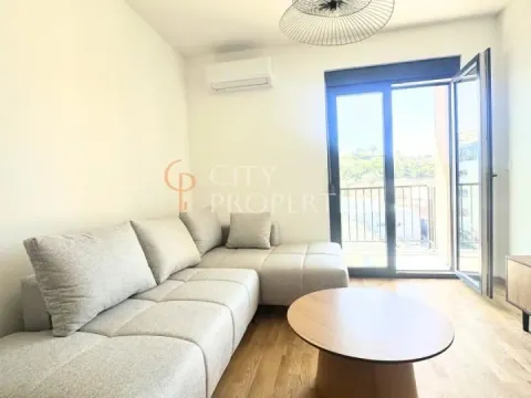 Izdavanje, stan, 40m², Zabjelo, Podgorica - image 10