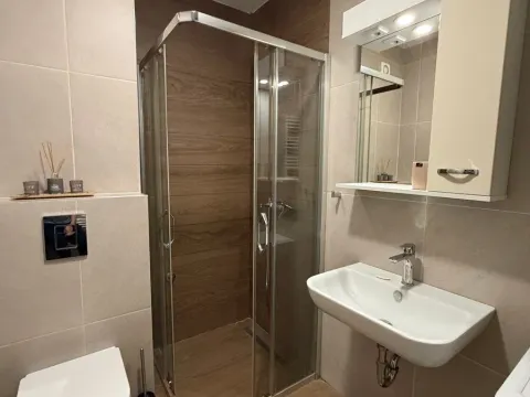 Rent, two bedroom apartment, 46m², Višnjička Banja, Palilula Sve Podlokacije - image 5