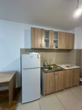 Manja kuhinja sa drvenim elementima, frižiderom i sudoperom. - image 2