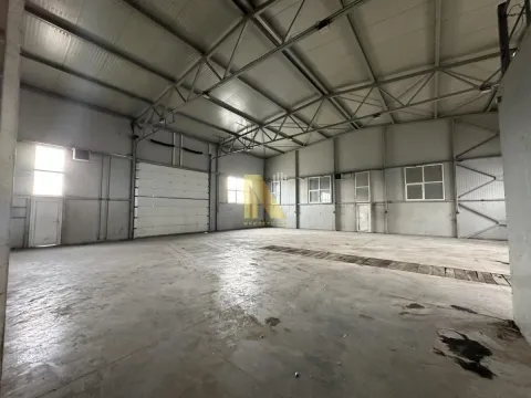 Rent, office space, 1515m², Salajka, Novi Sad Sve Podlokacije - image 5