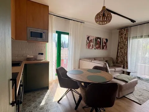 Izdavanje, dvosoban stan, 100m², Donja Lastva, Tivat - image 14