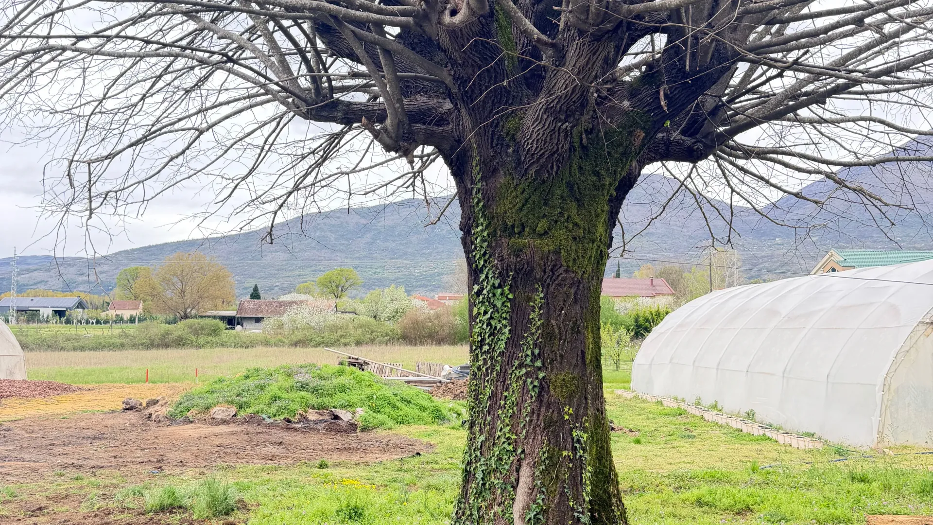 Prodaja, plac, 900m², Grlić, Danilovgrad