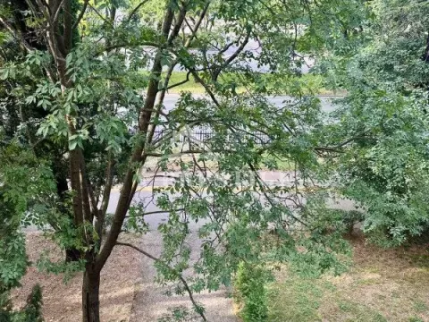 Izdavanje, jednosoban stan, 47m², Preko Morače, Podgorica - image 6