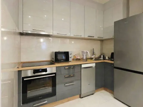 Izdavanje, jednosoban stan, 50m², Central Point, Podgorica - image 5