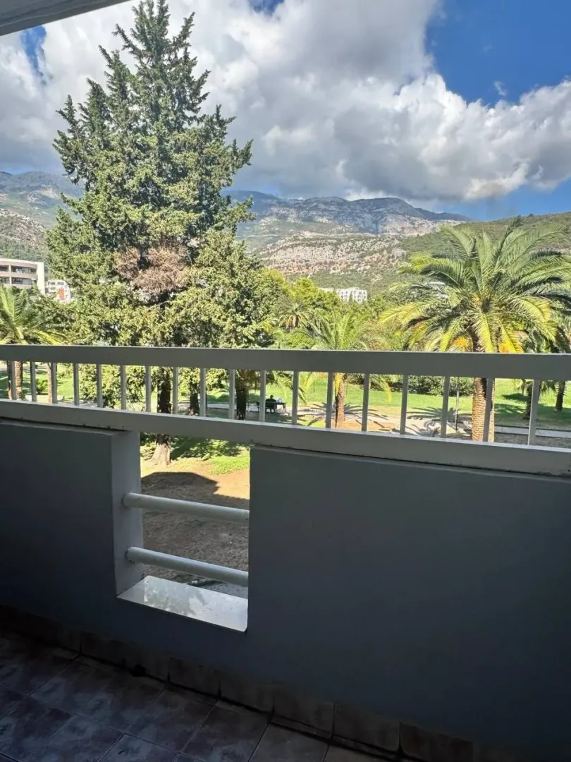 View from the terrace overlooking green areas and mountains.