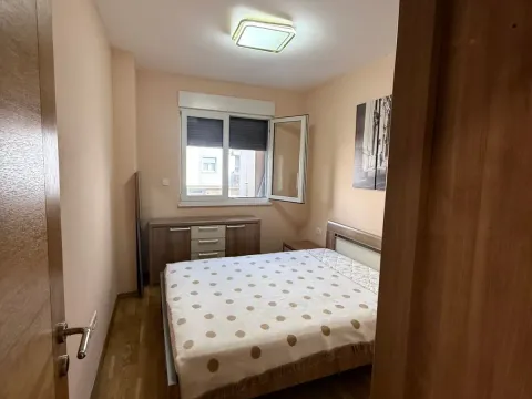 Rent, one bedroom apartment, 46m², Nova Dalmatinska, Podgorica - image 10