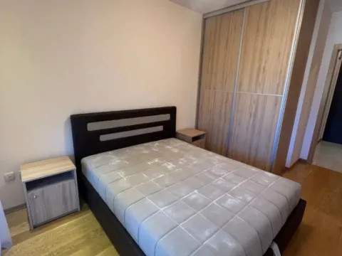 Izdavanje, jednosoban stan, 47m², Preko Morače, Podgorica - image 6